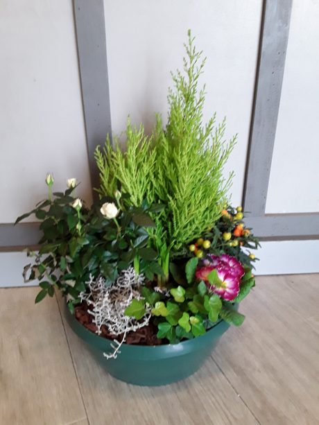 Coupe de plantes extérieur